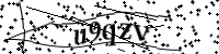 请键入下面的字母